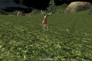 Deer Hunter 2024: Hunting